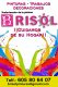 Brisol